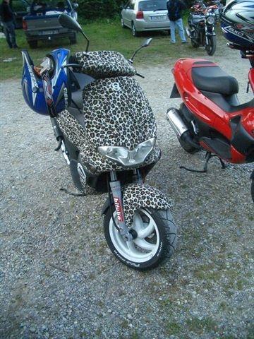 Running leo - oder so - (Motorrad, Optik, Fell)