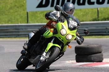 Tiger in Aktion - (Motorrad, Suche, empfehlenswert)