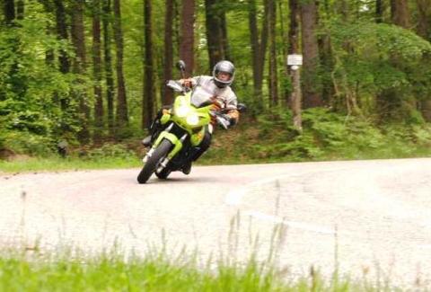 Tiger on Tour - (Motorrad, Suche, empfehlenswert)
