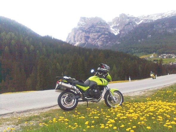 Tiger ist ja grün - (Motorrad, Strassenverkehr, allgemein)