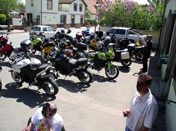 Tiger "nach der Jagd" - (Reiseenduro, Tourenmotorrad, großes motorrad)