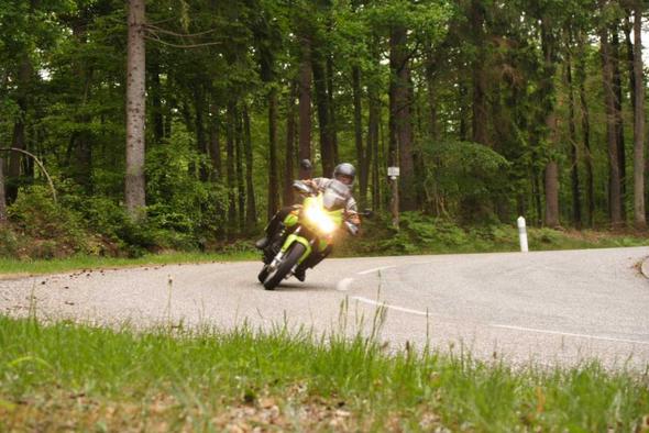 Pfälzer Wald - (Reiseenduro, Tourenmotorrad, großes motorrad)