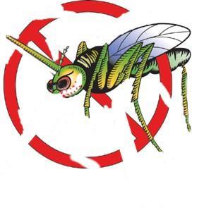 Mücke2 - (Helm, Insekten)