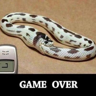 Game over - (Motorrad, Yamaha, Benzin)