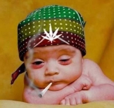 Kiffer Baby - (Kosten Leichtkraftrad)