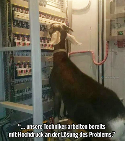 - (Forum, Technisches Problem)
