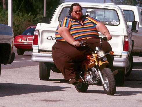 Sumo - (Yamaha, Honda, bmw)