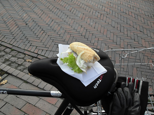Horumersiel - (Training, Winterpause, Fitness)