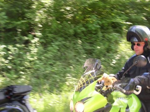 Hier von der Seite - (Enduro, LED, Handprotektoren)