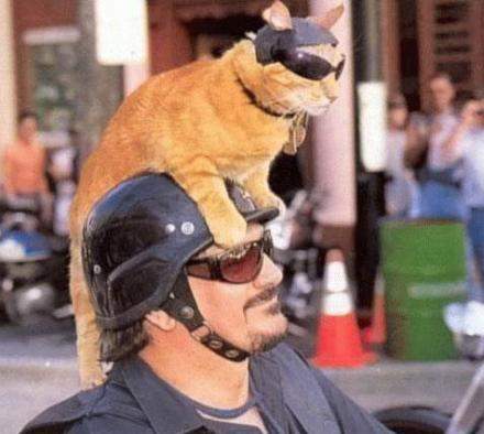 - (Motorrad, Handy)