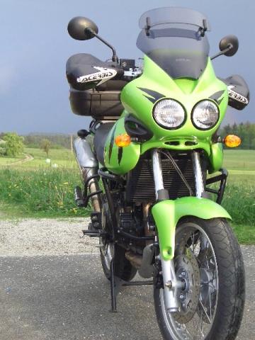 Tiger mit Acerbis Multiplo - (Handschuhe Motorrad Empfehlung, Handschuhe Motorrad Funktionalität, Motorradhandschuhe Empfehlung Frühjahr)