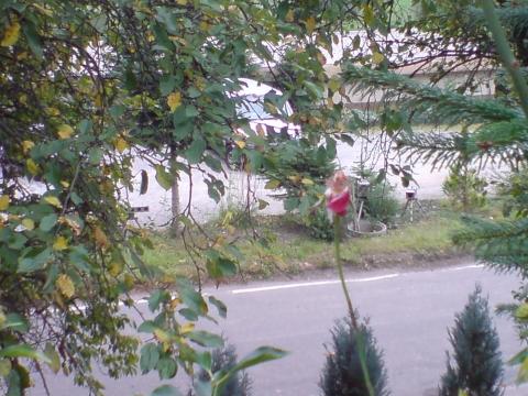 Blitzer Welche Seite Motorrad Roller