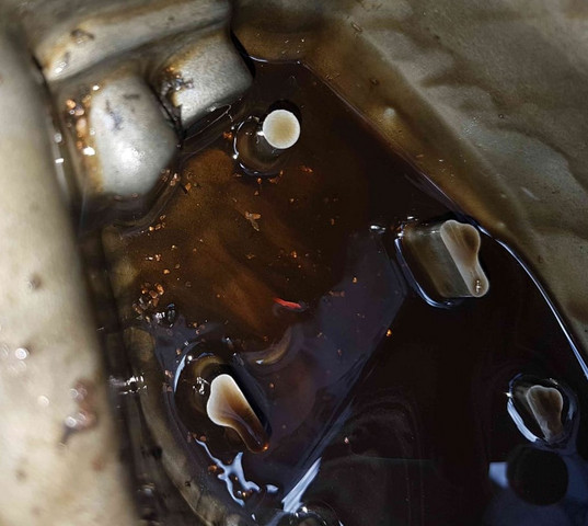 Bild von Spänen im Öl