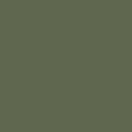Welche Grundierung fürs Lackieren von Camouflage Grün / Armee Grün?
